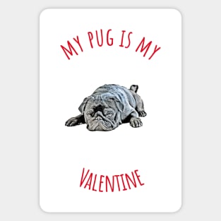 My Pug Is My Valentine Sticker